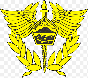 Logo Bea Cukai Batam